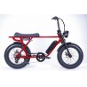 BRONX Buggy 20 e-Bikes / Marshall