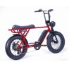 BRONX Buggy 20 e-Bikes / Marshall