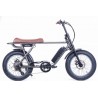 BRONX Buggy 20 e-Bikes / Granite Classic