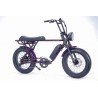 BRONX Buggy 20 e-Bikes / Amethysit